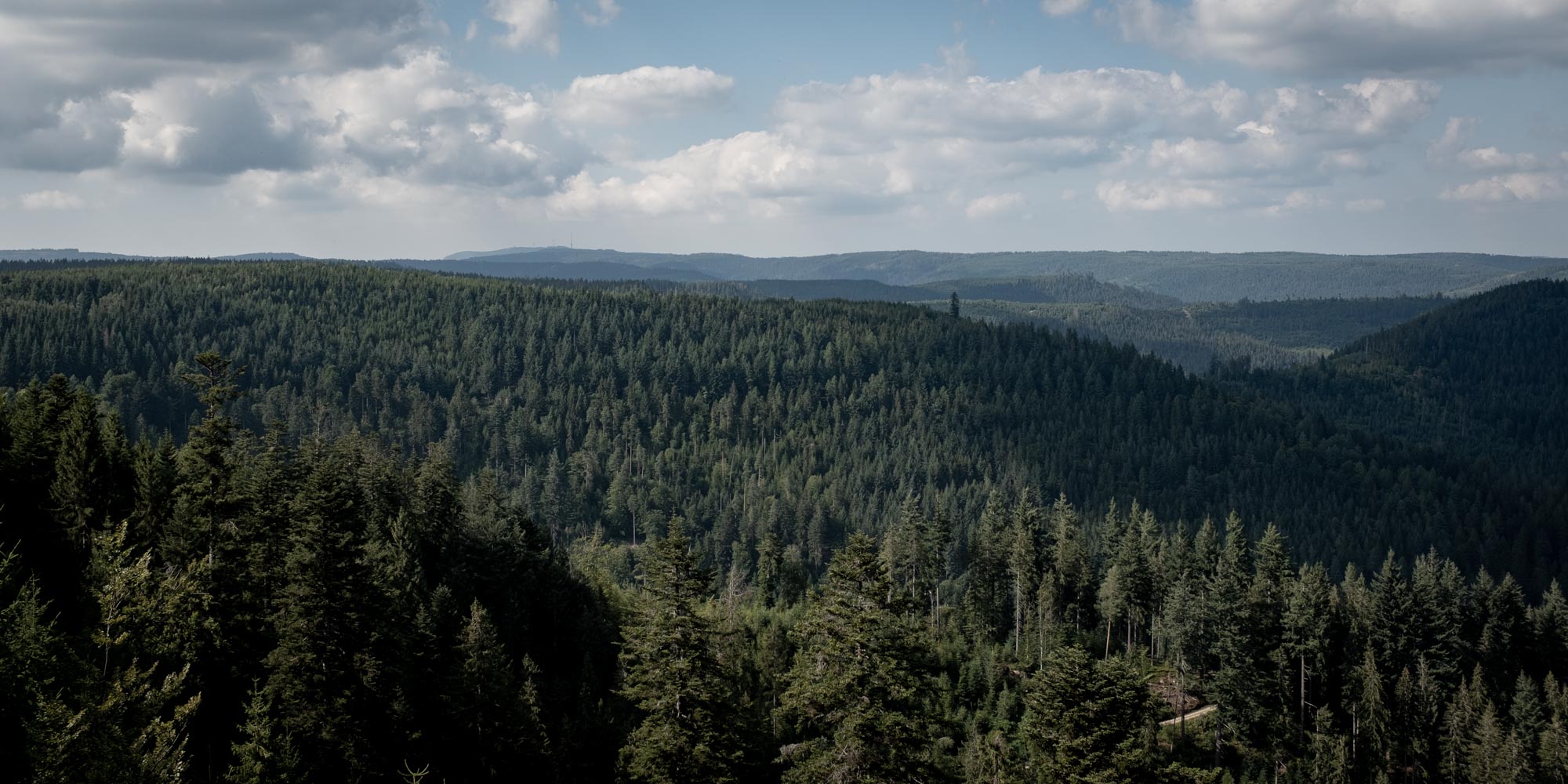 Locationscouting Schwarzwald 09