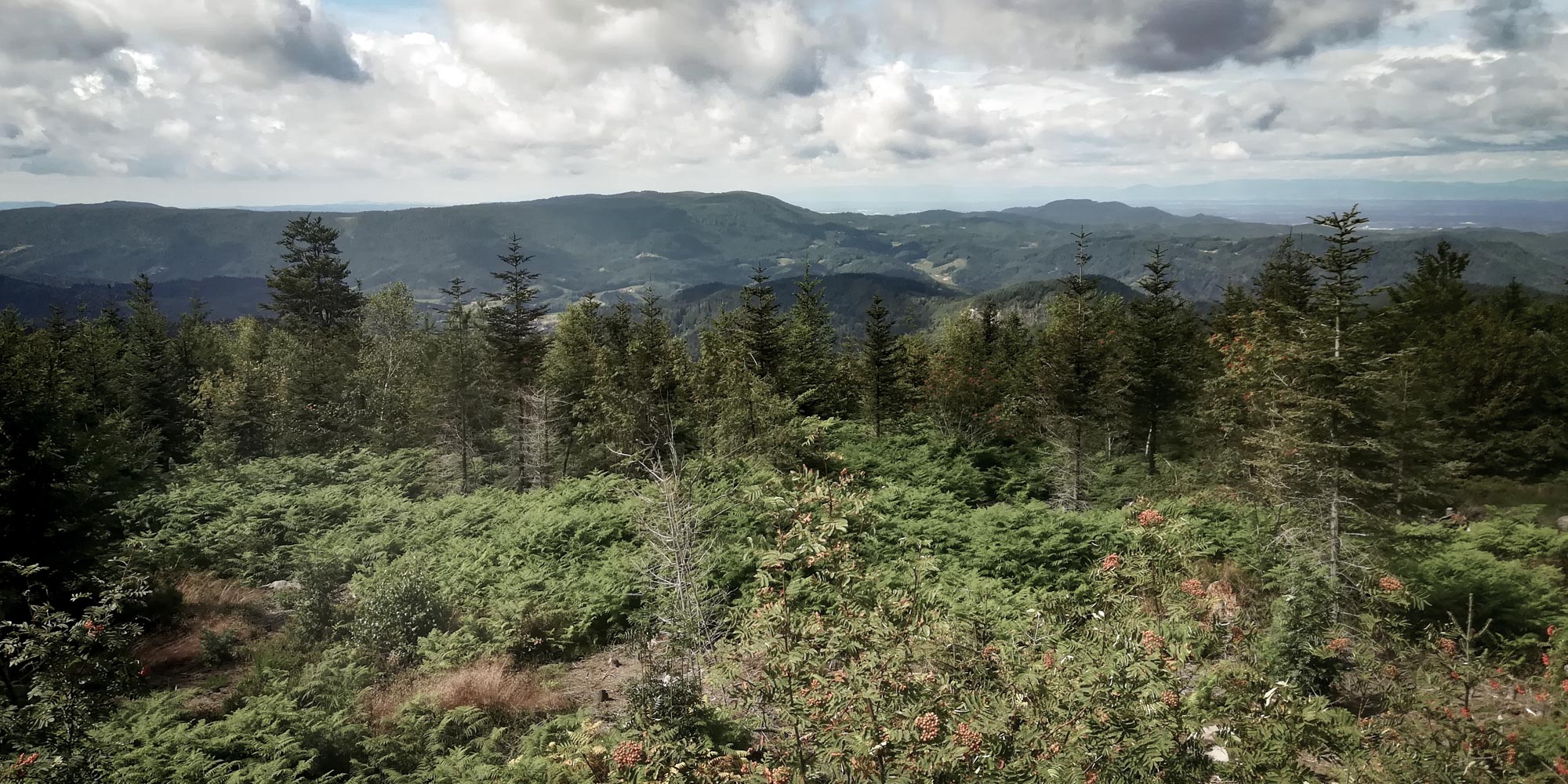 Locationscouting Schwarzwald 10