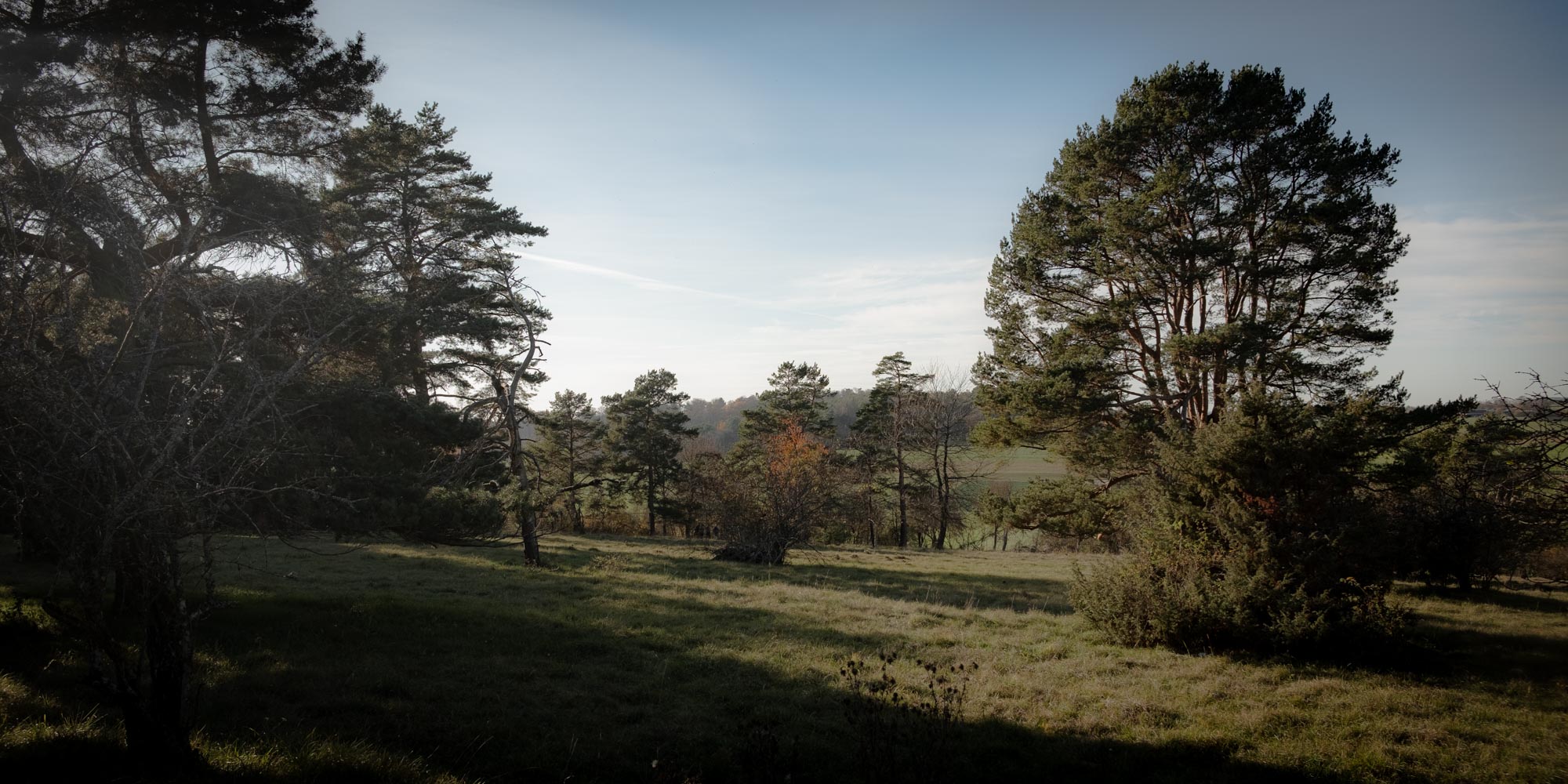 Locationscouting Schwarzwald 17