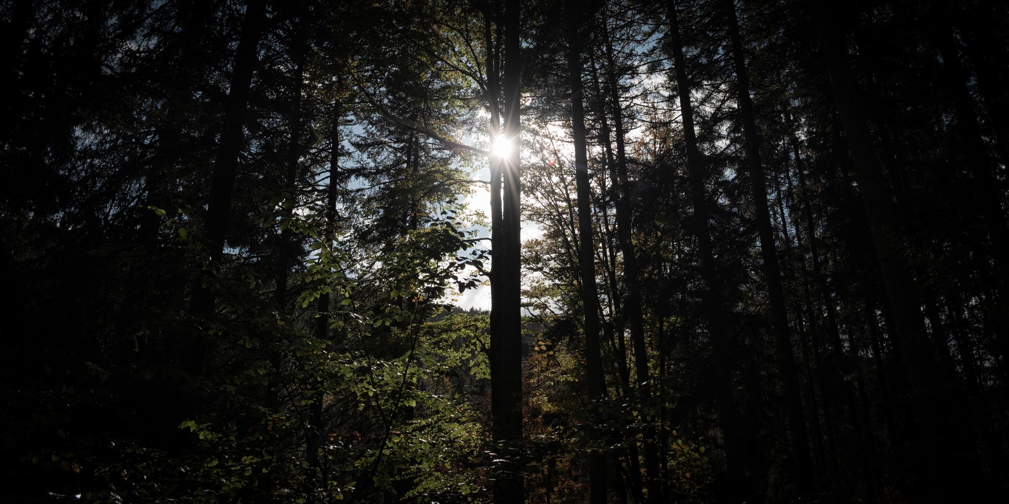 Locationscouting Schwarzwald 18